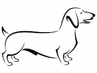 Clear Fork Dachshunds