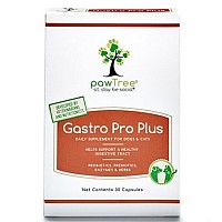 Probiotic for dogs